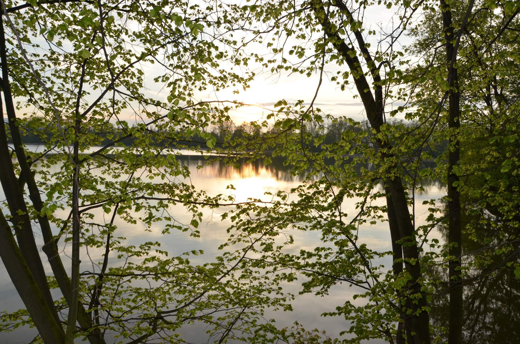 DSC_0798